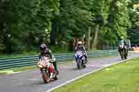 cadwell-no-limits-trackday;cadwell-park;cadwell-park-photographs;cadwell-trackday-photographs;enduro-digital-images;event-digital-images;eventdigitalimages;no-limits-trackdays;peter-wileman-photography;racing-digital-images;trackday-digital-images;trackday-photos